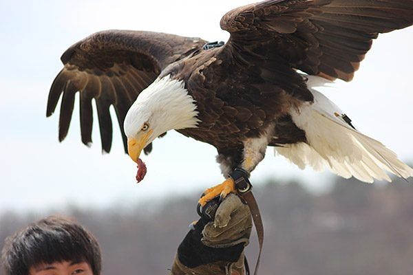 Re: こんにちわん∪＾ェ＾∪です